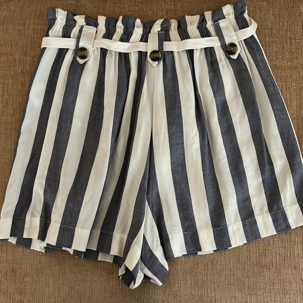 American Eagle Striped Shorts